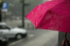 生肖的划分到底是看立春还是除夕?