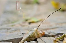 枕头下放什么最旺财 摆放葫芦招财旺财