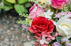 母亲节是几月几日2023年的 母亲节是5月的第几个星期日