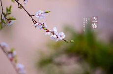 为何立春要鞭打春牛