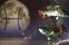 哪些星座能成为双鱼座命中注定的情人