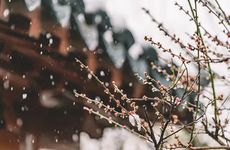 五一劳动节送女朋友什么礼物？送礼的技巧分享