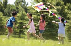 梦见塑料花 假花怎么回事 梦见塑料花 假花有什么预兆