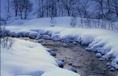 2024年数九时间表 2024年数九从哪一天开始到哪一天结束