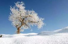 霜降的由来是什么 有什么传说故事？