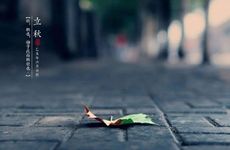 立秋节气养生食物