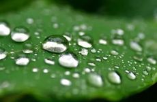 2024年度白露是什么意思（2024年）