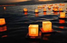 解密四大生肖男成功密码