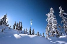 2024年大寒会不会下雪