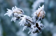 梦见渔夫 渔民怎么回事 梦见渔夫 渔民有什么预兆