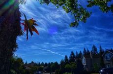 处暑各种民俗活动