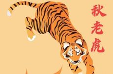 属虎2026会遭遇哪些劫数