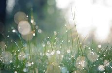 喝白露水的好处（白露后早晚温差大）