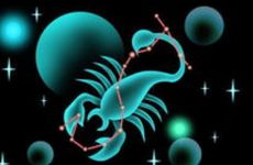 天蝎男为什么离婚率高