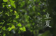 北方立夏吃什么传统食物 北方立夏气候有什么特征