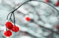 冬至代表着什么含义呢 中国传统冬至节日意义