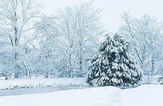 2022年小雪是几月几号几点几分 小雪三候是什么