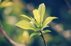 2023年2月4日适不适合出行 2023年2月4日立春适不适合出行