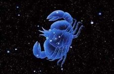 宠巨蟹座的星座