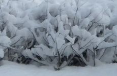 2022年大雪十一月十四这天好不好 是适合提车的吉日吗？