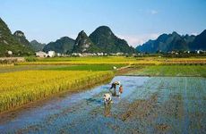 2024年芒种能洗衣服吗 此节气如何养生