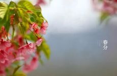 春分吃什么时令美食？2022年春分节气卦象吉利吗？