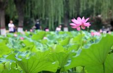 2023年有哪些星座在夏至时贵人运旺盛 2023年有贵人运的星座