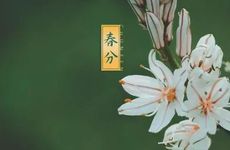 2022年春分这天日子好不好？吃什么传统食物？