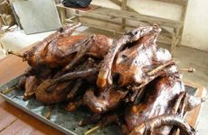 2025年2月18日农历正月二十一动土合适吗