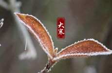 立春前一天可以回娘家吗 立春前一天回娘家好不好