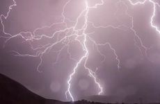 晚上被猫跟着预示什么迷信 老人说猫不能捡为什么