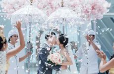 今日属相冲什么 2022年11月8日属什么生肖冲什么