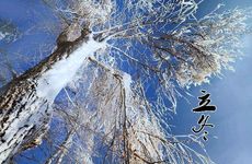 卫生间装马桶好还是蹲坑好 四大方面PK