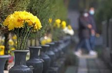 新坟清明节当天可以扫墓吗？新坟有什么讲究？