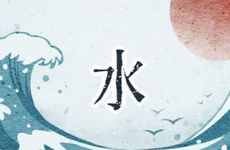 2009是什么命 2009年属相查询表