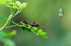 梦见自己拉屎是什么意思？
