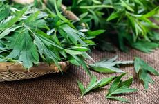 梦见化身为龙怎么回事 梦见化身为龙有什么预兆