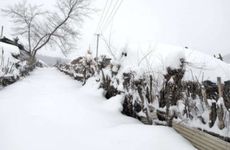 2022年大雪节气喜神方位查询 大雪属什么季节