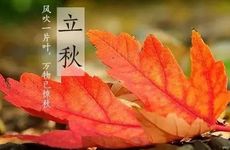 立秋节气的活动及饮食禁忌