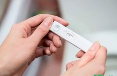 牛年猫不请自来兆头好不好 带来财富与福报