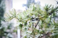 10大恐怖的星座生理需求最强烈的星座女