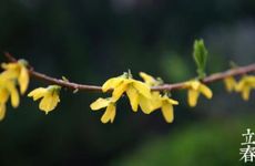 梦到水预示着什么