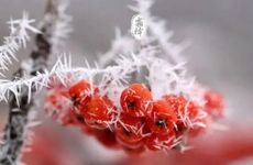 店里没生意怎么招财 店里放貔貅最旺财