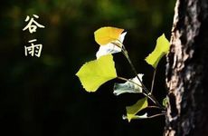 2022年农历三月谷雨能不能区庙里烧香？庙里烧香拜佛有什么禁忌？