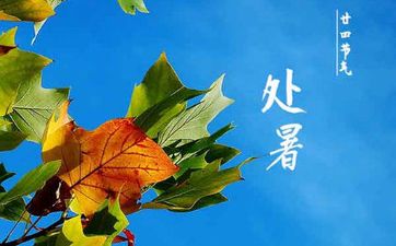 梦见纱怎么回事 梦见纱有什么预兆