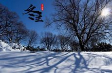 冬至北极圈是极昼还是极夜？极昼极夜持续时间是多长？