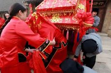 梦到绿色鸟的预兆 梦见绿色鸟是什么意思