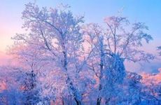 下半年生财有道的3生肖 生意做成事业兴旺开始大富大贵!