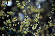 卫生间门最吉尺寸是多少 厕所门尺寸吉凶查询