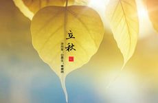 梦见交警 交通警察